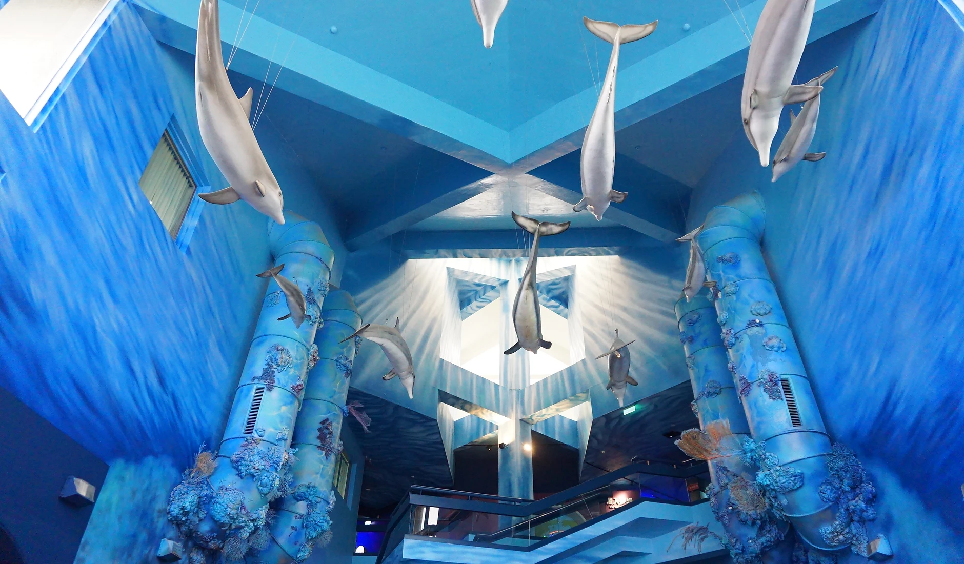 全台海生館｜精選台灣六間特色海生館 看海豚、賞鯨鯊，還能在海中隧道過夜！